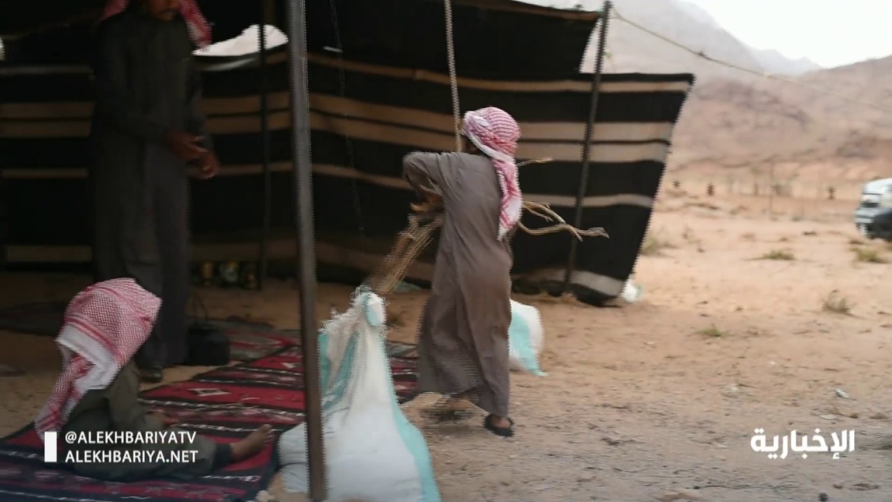 حياة البادية 
