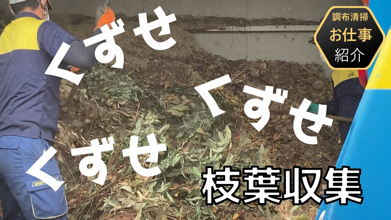 【おしごとシリーズ】枝葉収集