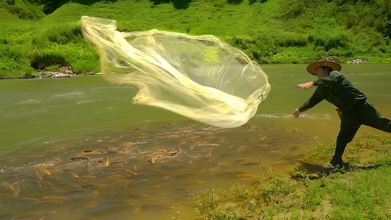 Fishing on the river, harvesting bananas and wild honey - Caring for animals, surviving on the river
