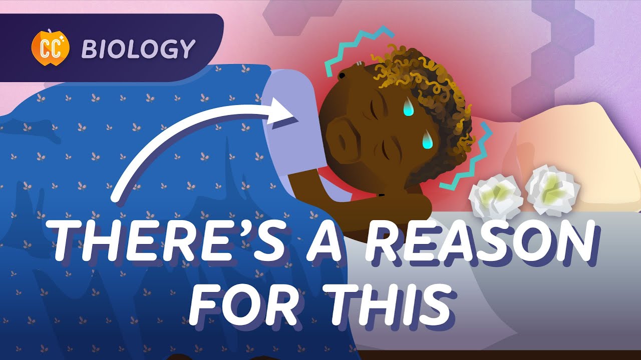 Animal Defense Systems: How Skin, Snot, and Cells Keep Us Healthy: Crash Course Biology #45