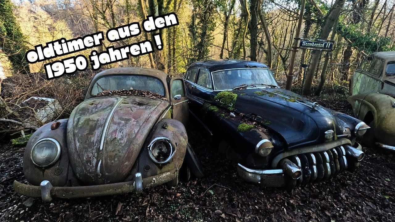Seit über 20 Jahren im Wald !  | Autofriedhof