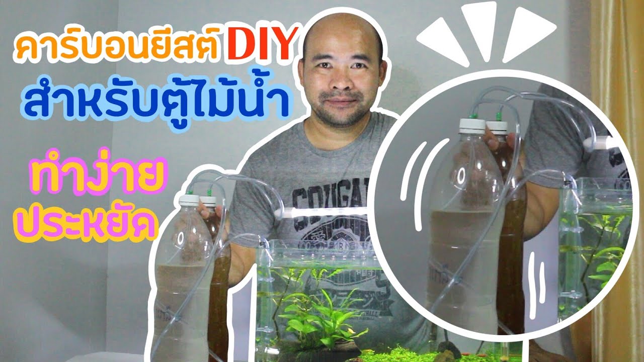 ตู้ไม้น้ำมือใหม่ ตอน คาร์บอนด์ยีส DIY สำหรับ ตู้ไม้น้ำ ทำง่าย ประหยัด #ตู้ไม้น้ำ #คาร์บอนDIY