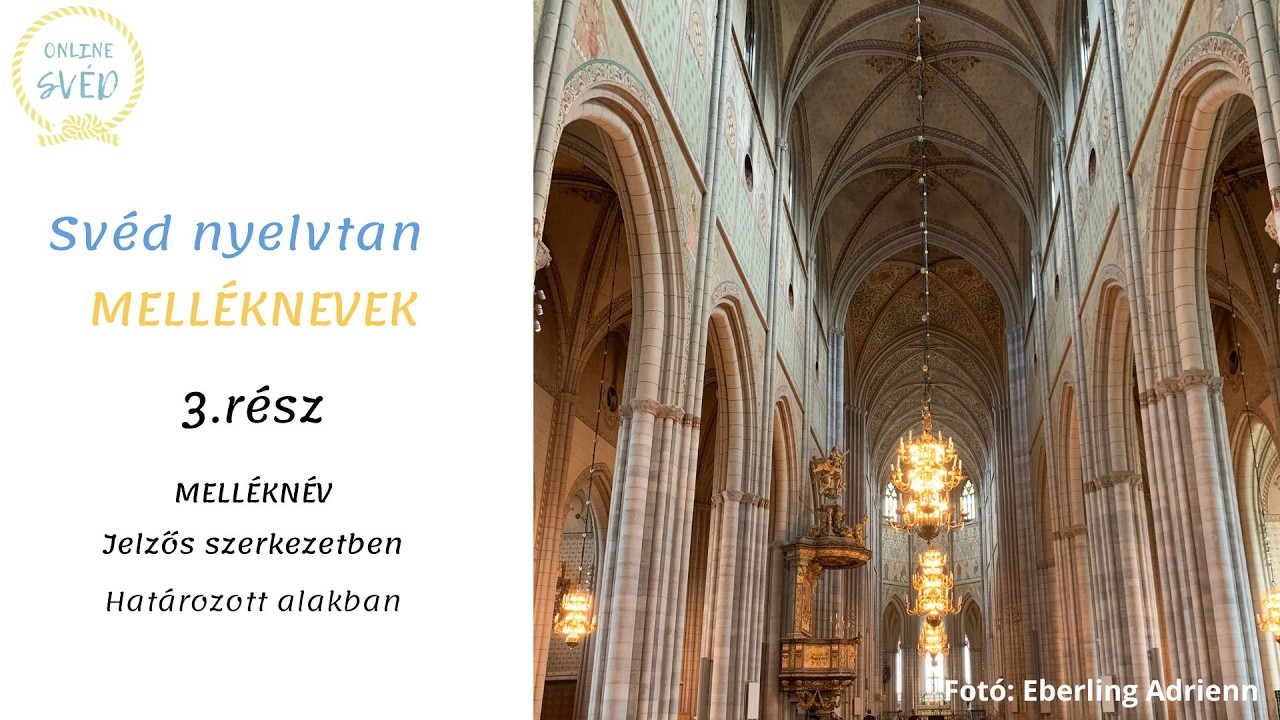 Svéd nyelvtan: MELLÉKNEVEK 3. rész -  Melléknév jelzős szerkezetben, határozott alakban