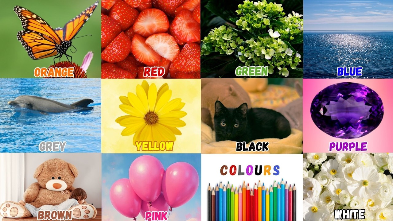 We Love All the Colors|Learn Colors in English|Red Red Strawberries Song| This is Red, This is Blue