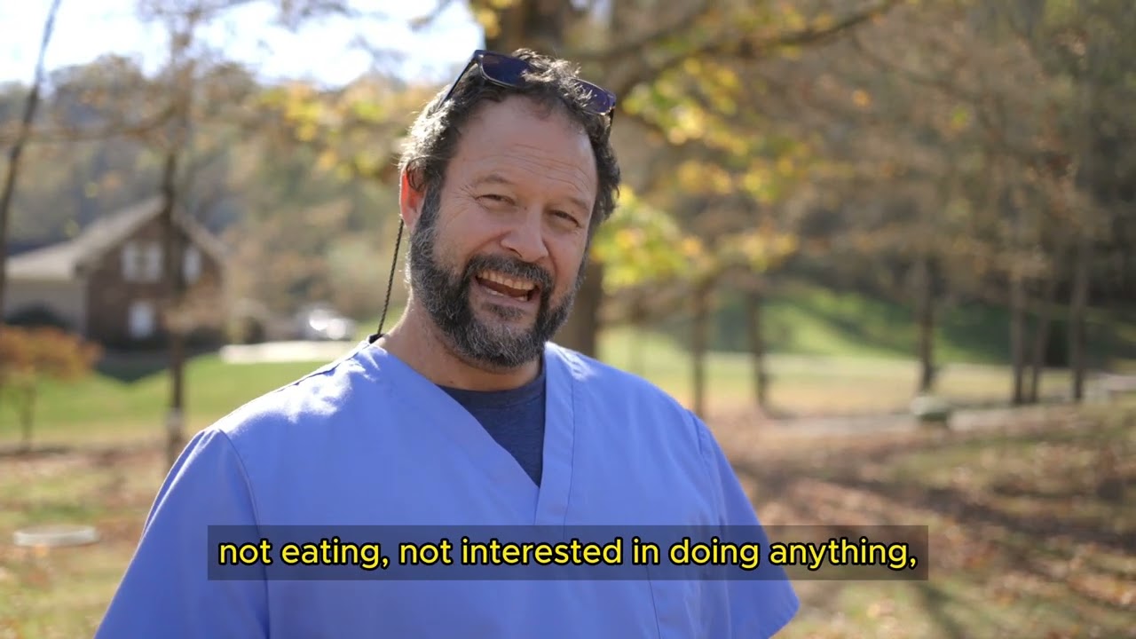When Should Dogs with Diarrhea Visit the Vet? By Marc Smith, DVM, MS