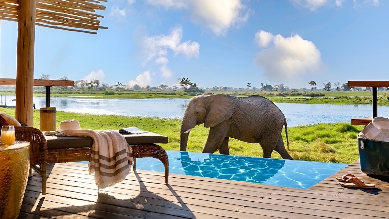 Роскошь в Африке | Eagle Island Lodge, Belmond Safari (полный тур в 4K)