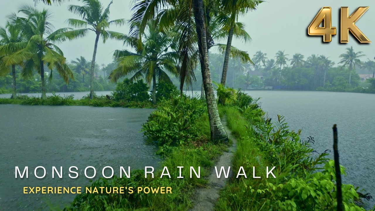 [4K ASMR] Peaceful Backwater Village Rain Walk | Green Lush Ambience for Sleep & Focus