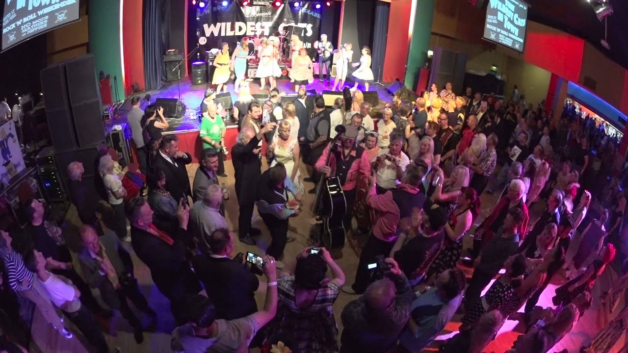 Wildest Cats in Town 2015 no7