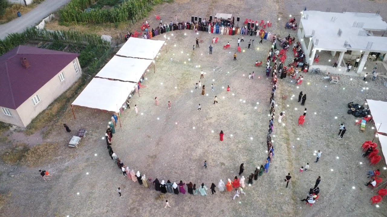 Hamiyet Seyhan Düğünü 2