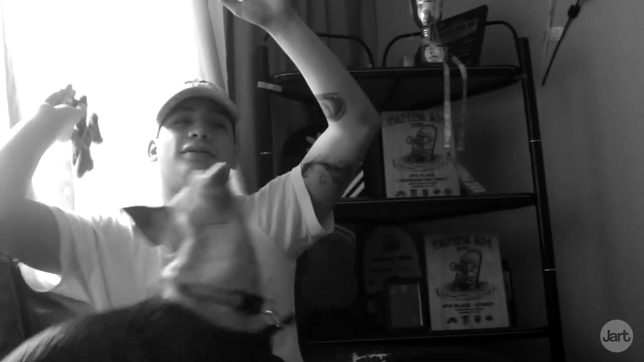 Jart Skateboards - Angelo Caro back to normal with