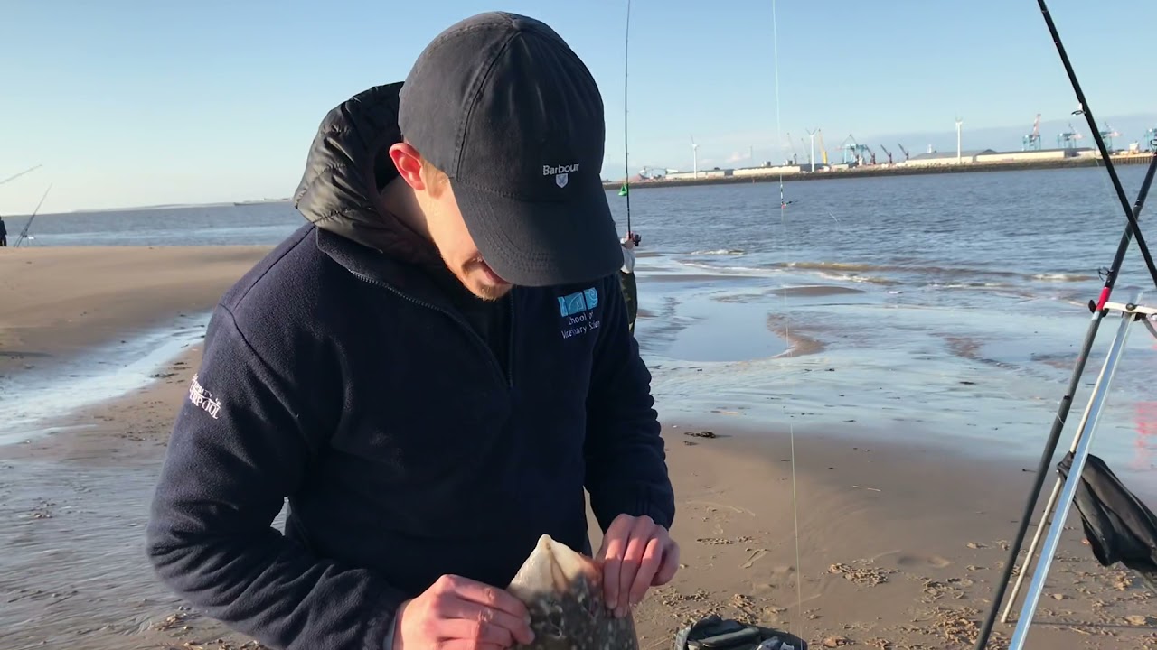 Fishing without reels 🤦‍♂️🎣 Perch rock , River Mersey