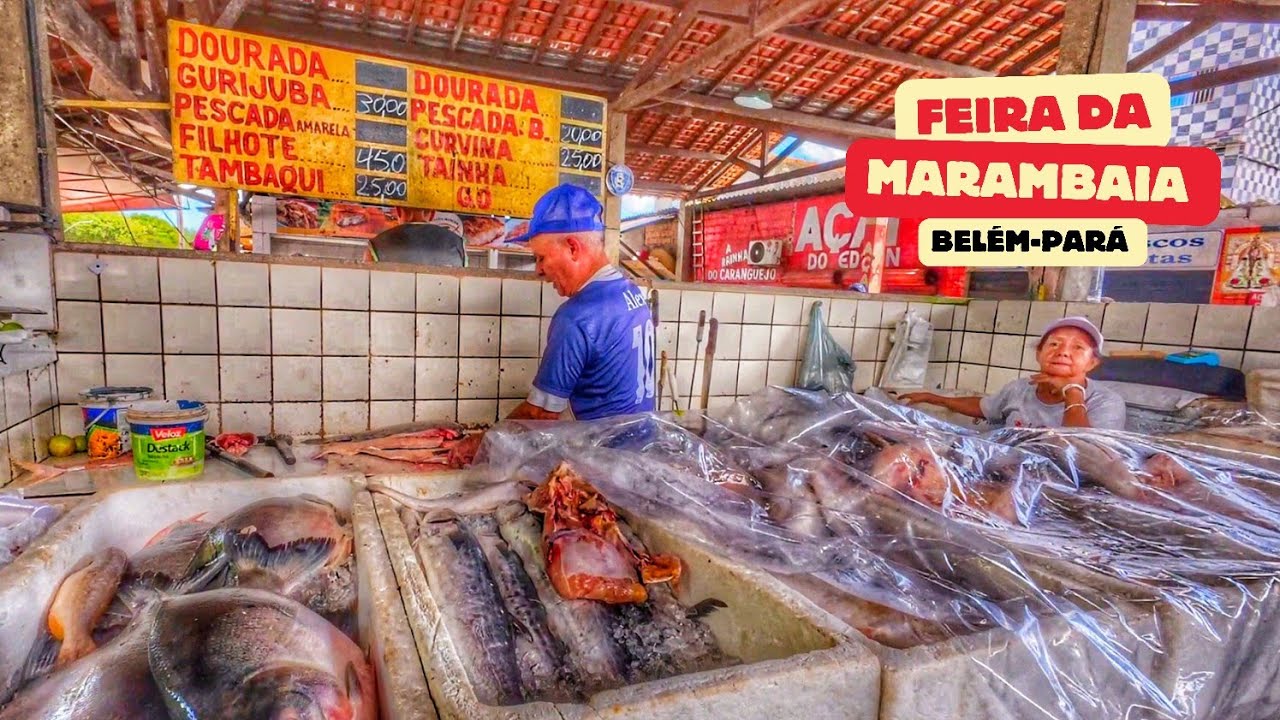 A Feira da Marambaia Que Não passa na TV! | Belém, Pará, Brazil ブラジル代表