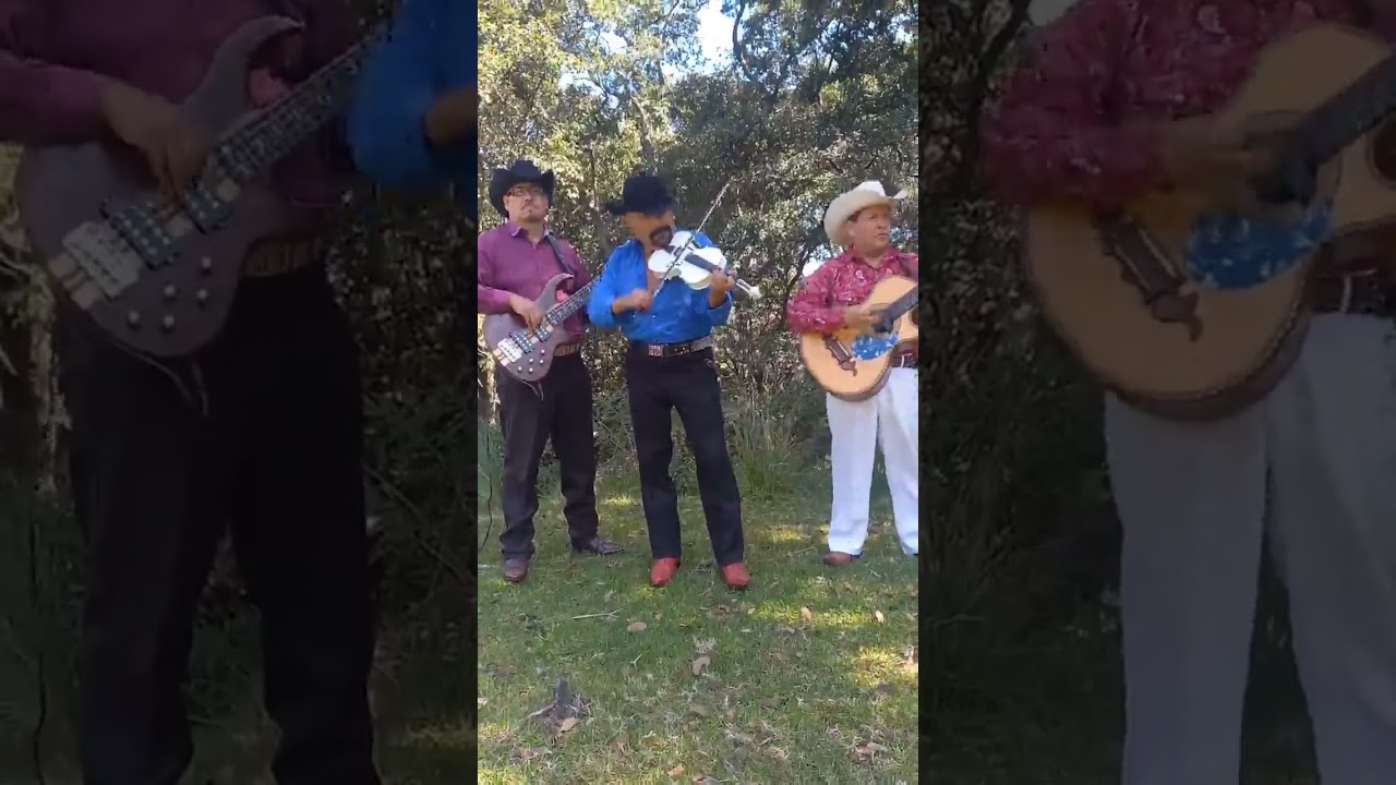 Adan Arreola Los Luceritos de Michoacan - Sufriendo nomas Sufriendo
