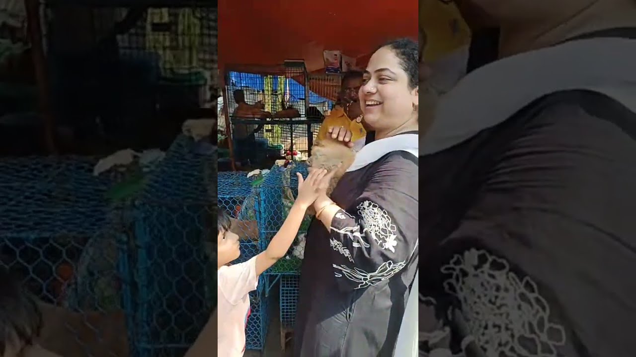 पेट मार्केट कोलकाता | For-Ever World is live