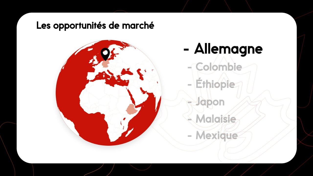 Opportunité de marché : Allemagne