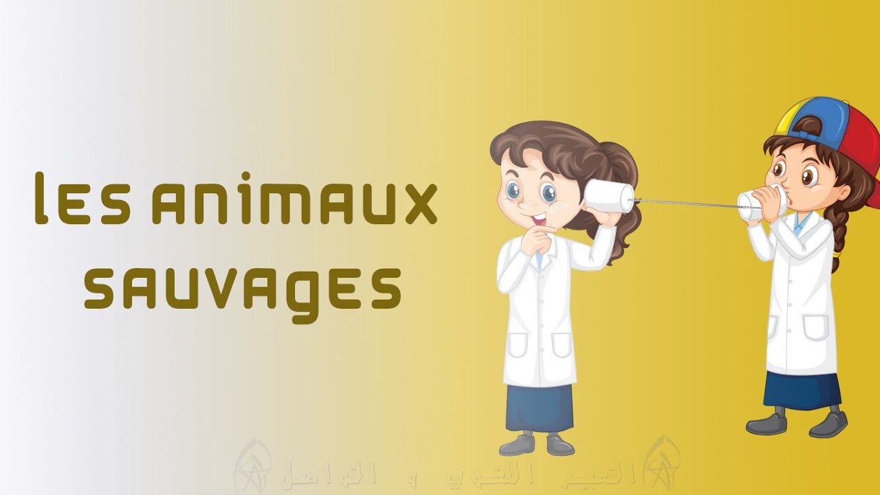FMPS009 - Les animaux sauvages
