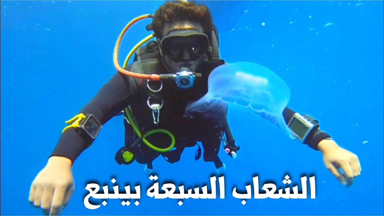 غوص الشعاب السبعة وايونا في مدينة ينبع السعودية || Seven reefs , Nemo garden , Aiona wreck