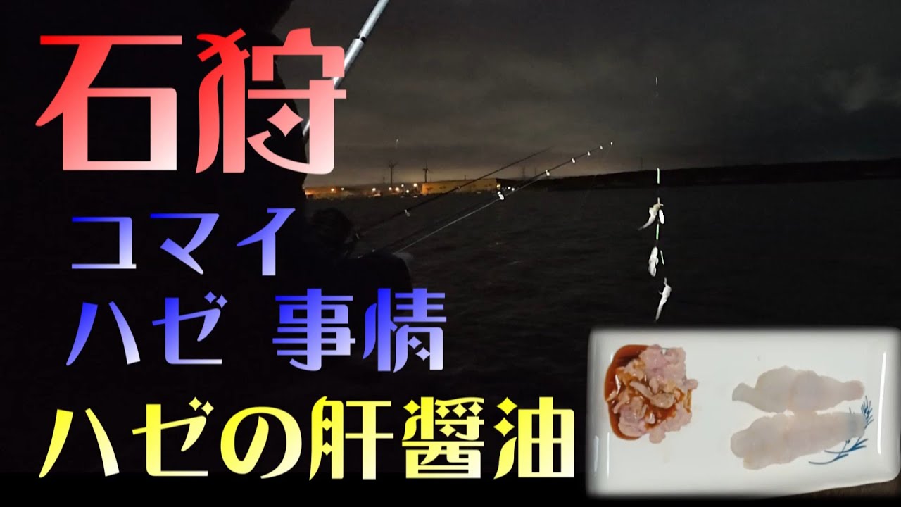 石狩コマイ　ハゼ事情　ハゼの肝醤油