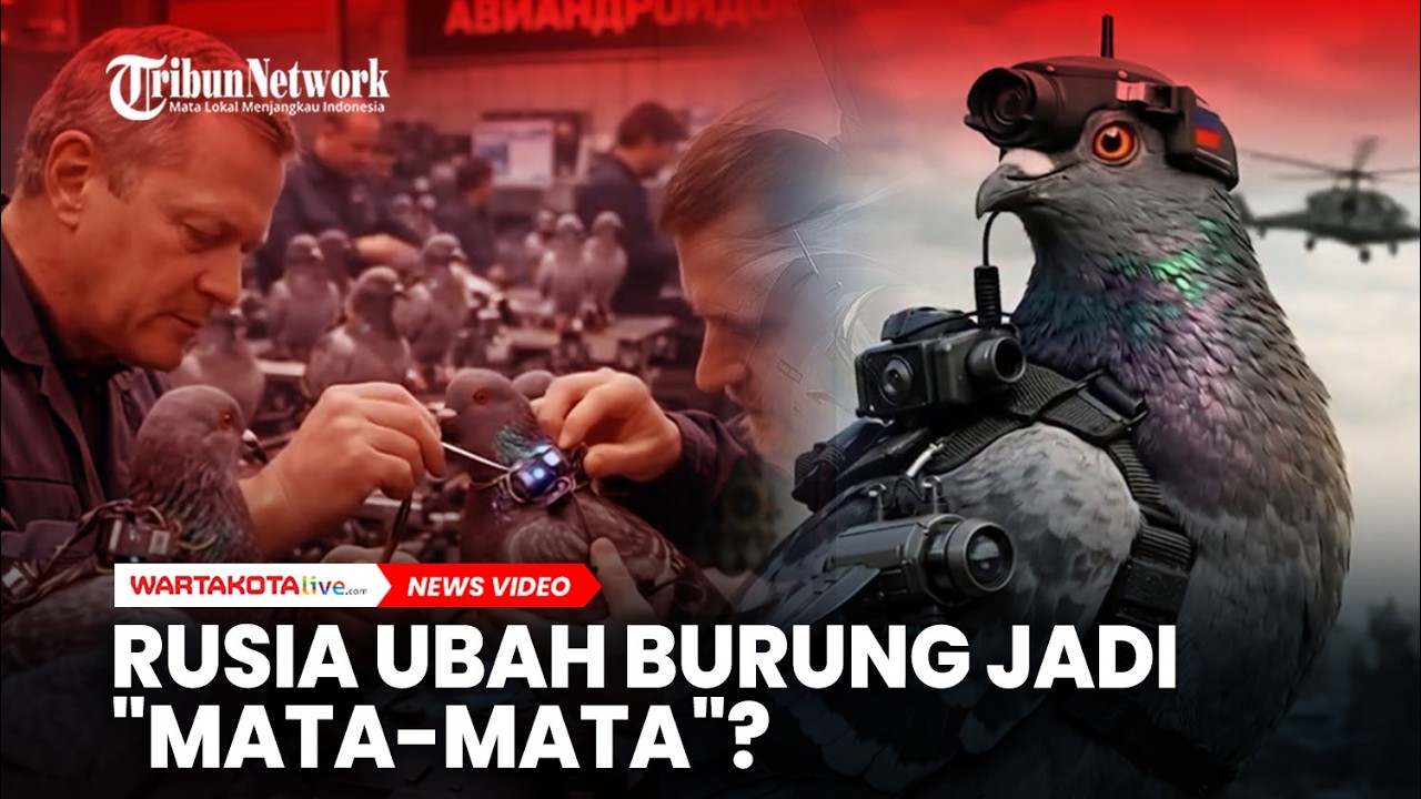 Rusia Ubah Burung Jadi Mata-Mata? Menguak Fakta di Balik Program Intelijen