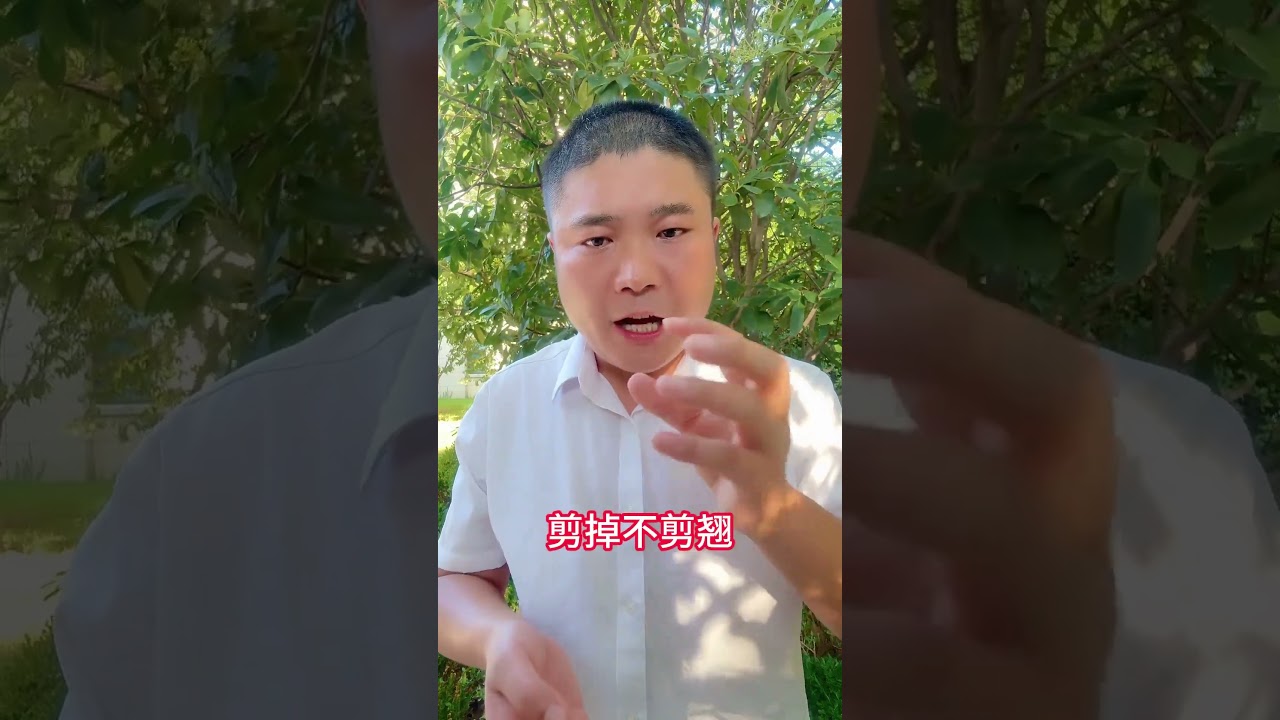 果树修剪技巧#三农 #农业种植 #果树种植 #果树管理 #果树修剪