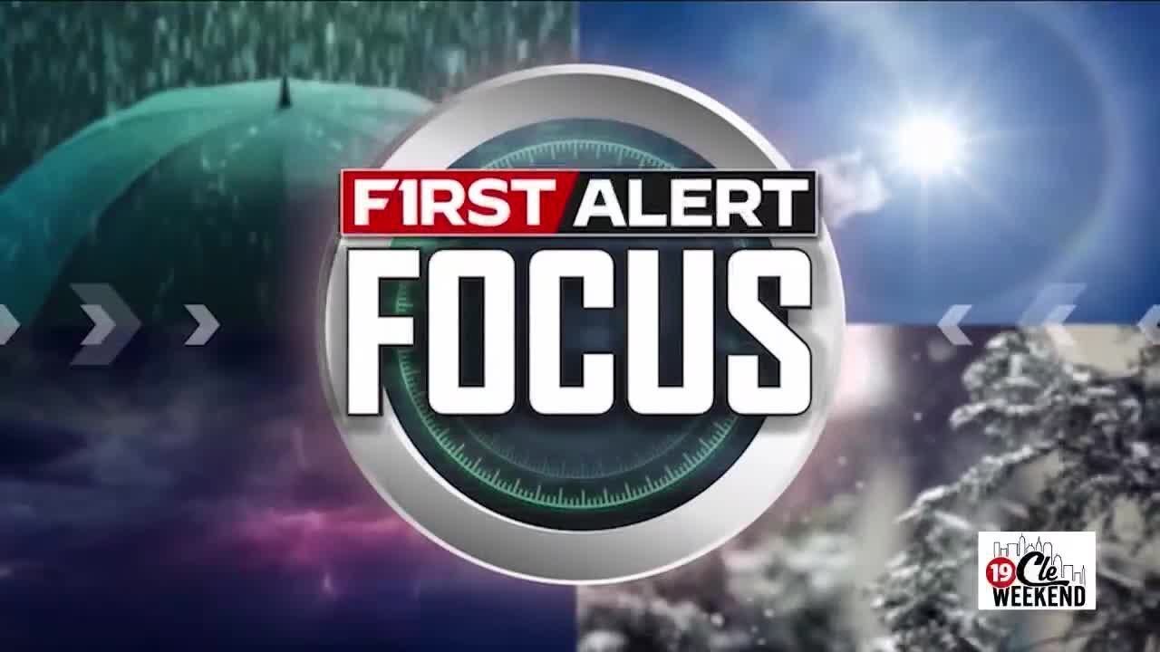 Check Out First Alert Focus!