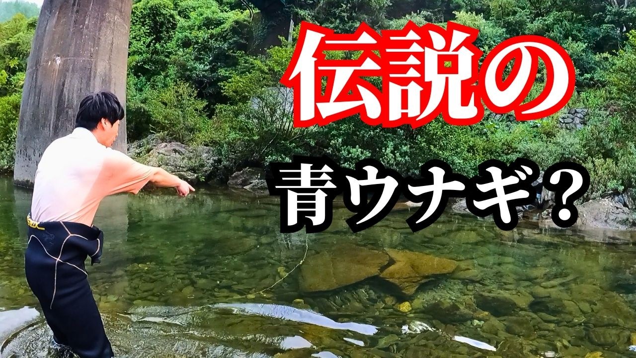 うなぎの罠を仕掛けたら過去最高の釣果となりました