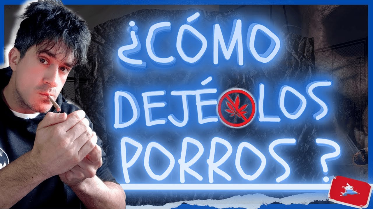 ¿CÓMO DEJÉ LOS PORROS?