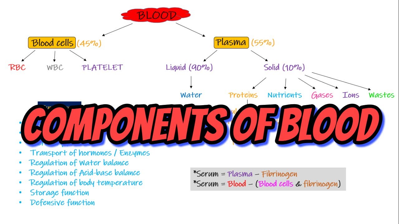Components of Blood. Chapter 33 part 1. Guyton and Hall Physiology.