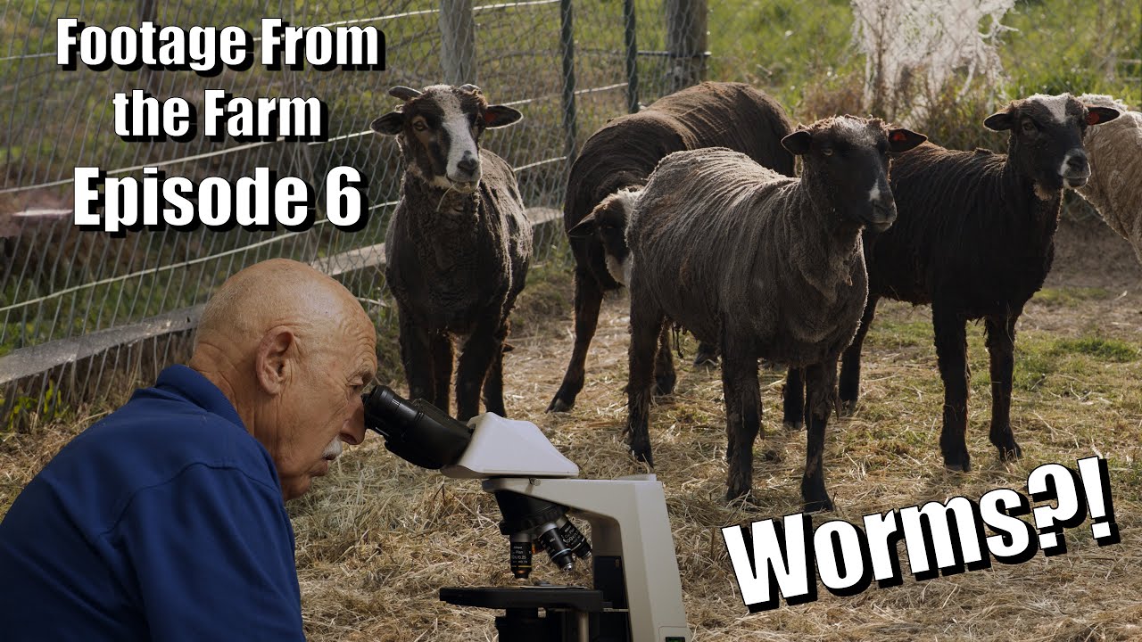 Footage From The Farm: Episode 6 - Dr. Pol vs. Worms!