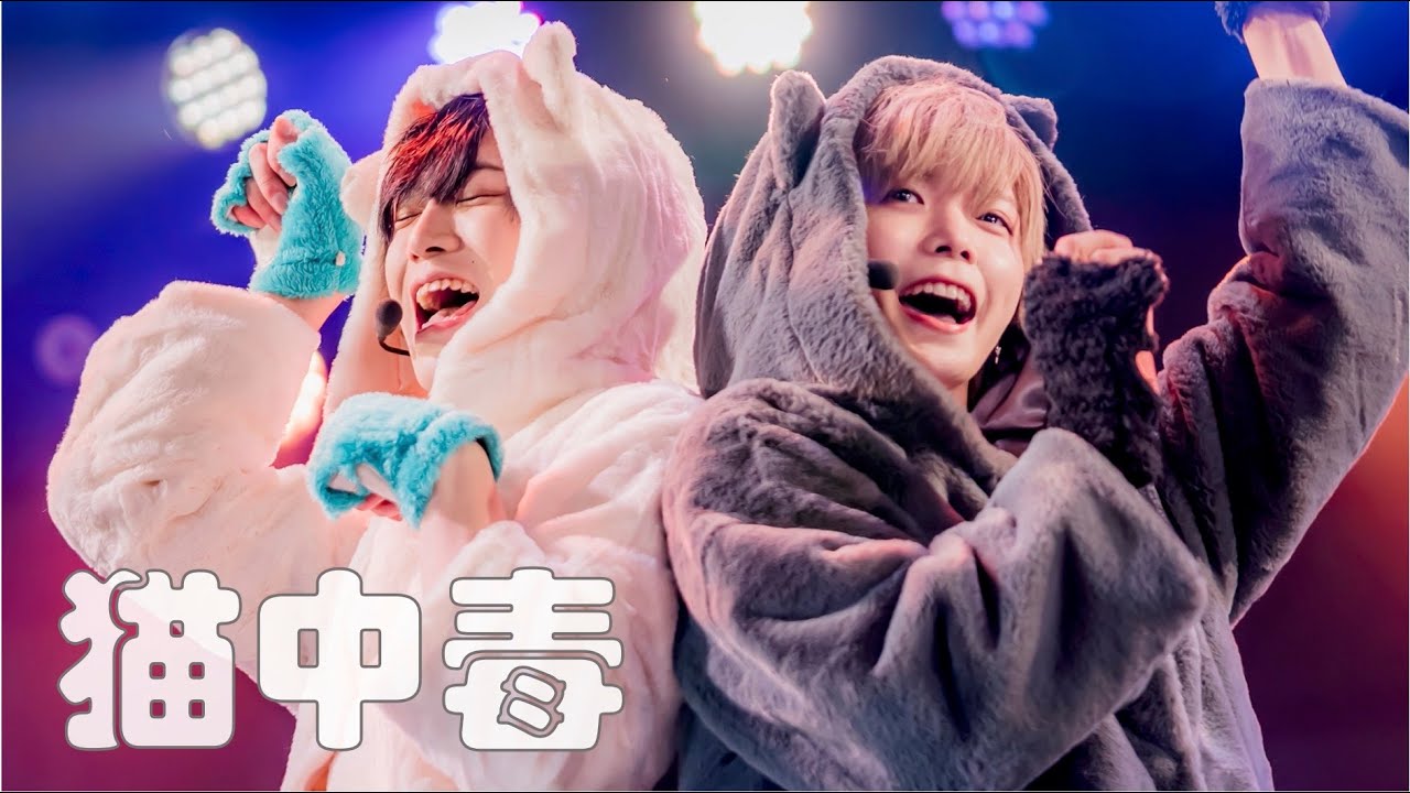 【ライブ動画】猫中毒踊って歌ってみた【こうき×ゆうじ】