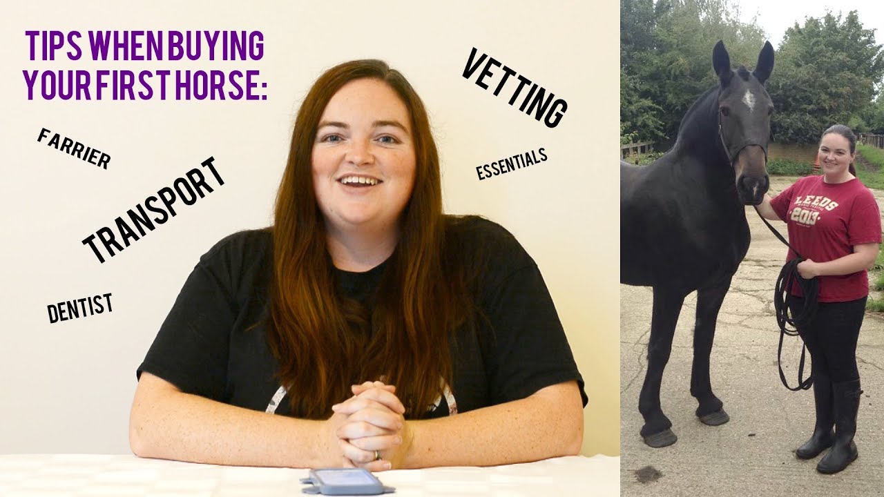 Tips on viewing and buying your first horse | Equine vlog