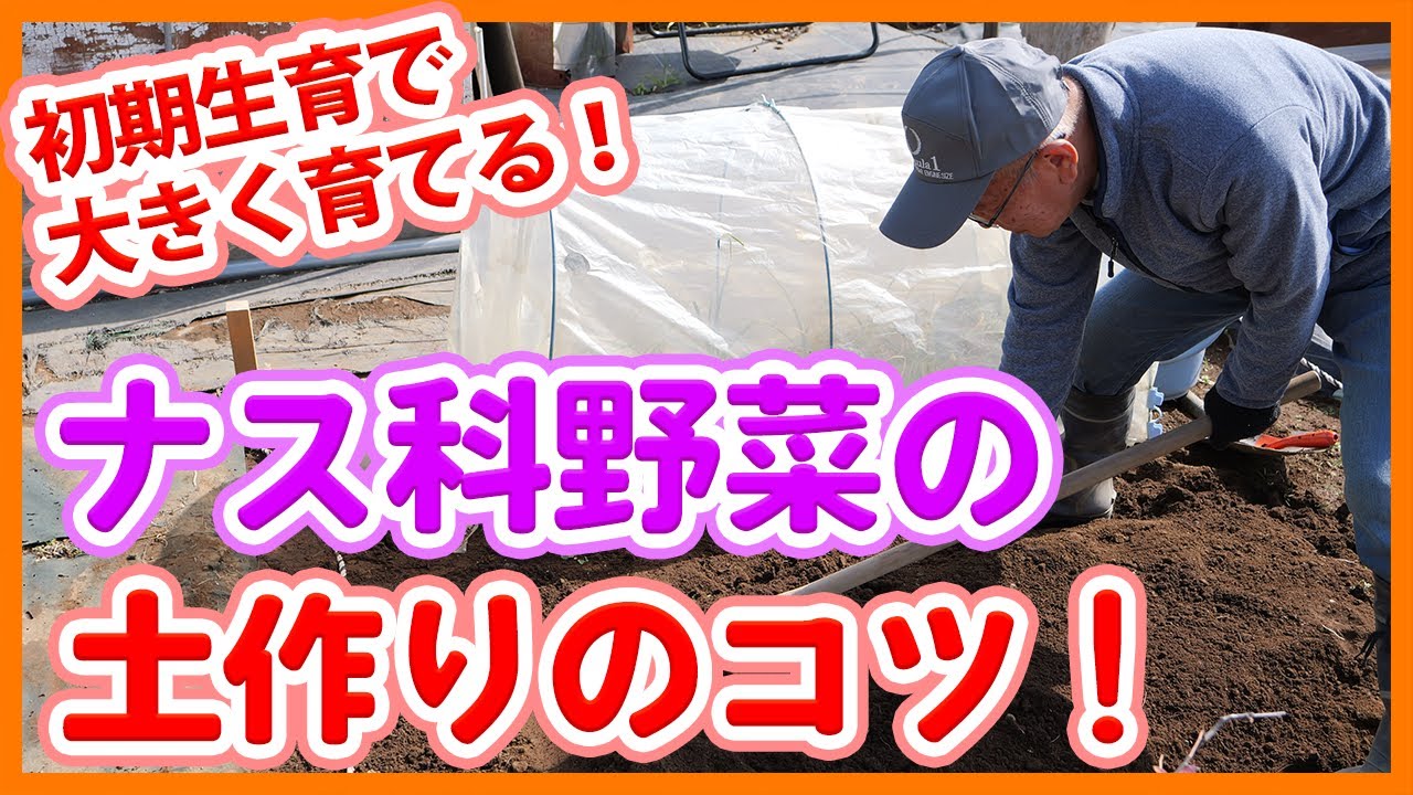 家庭菜園や農園のナス科栽培で初期生育を良くする土作り！畝作りで必要な堆肥や肥料の使い方を解説！【農家直伝】Tips for making soil for solanaceous vegetables