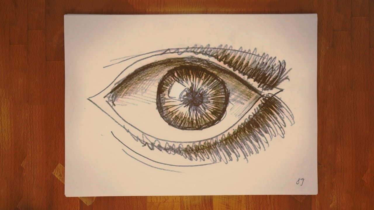 Metamorphose - Frame by Frame Animation on Paper