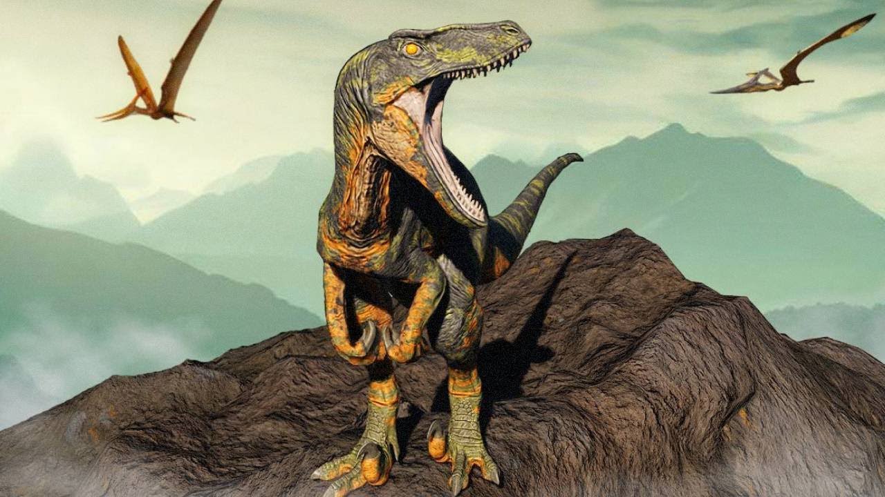 The Crazy Life of a Raptor Player...