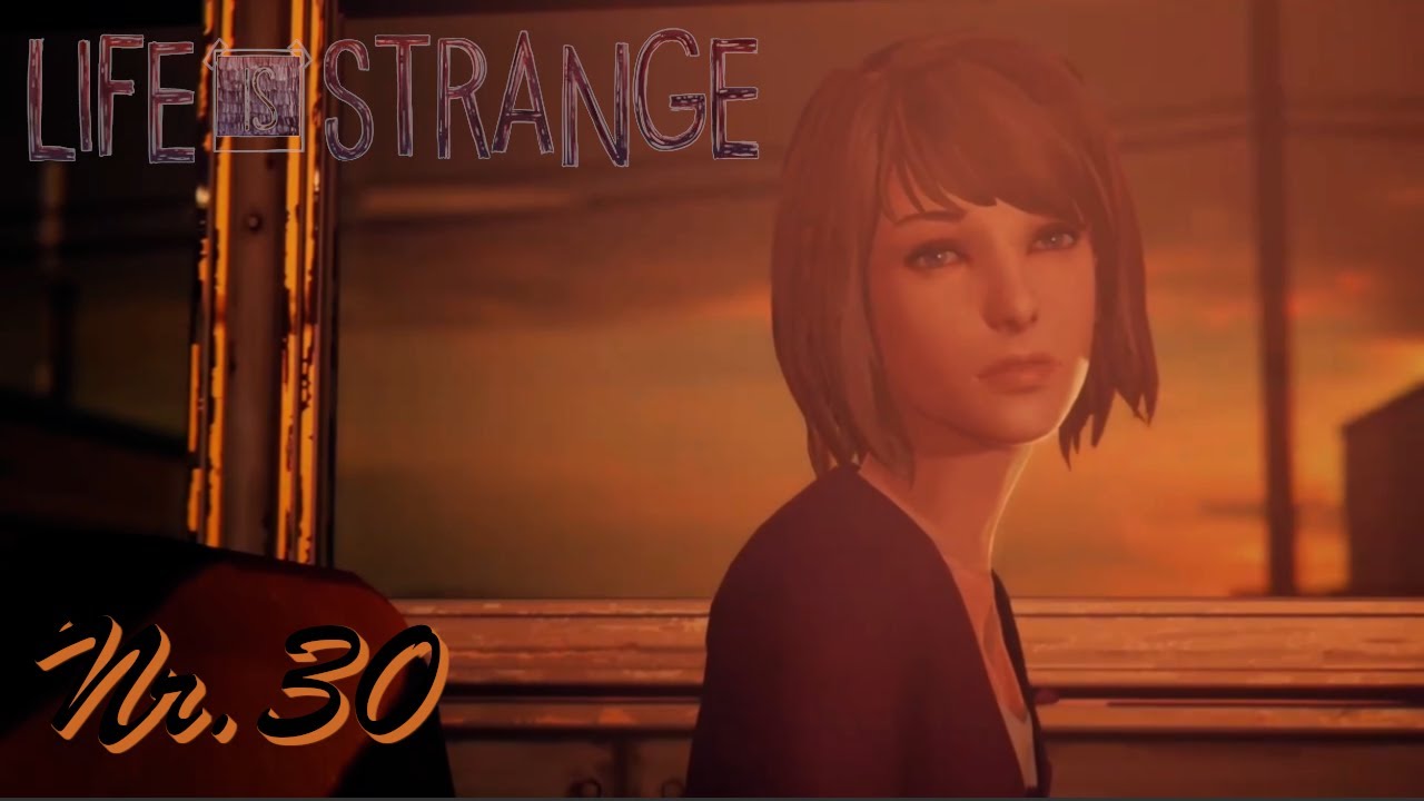 🦋Life Is Strange: Arcadia Bay Collection #30