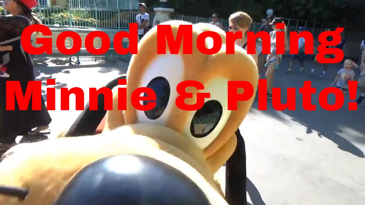 Character meet up With Pluto and Minnie Mouse