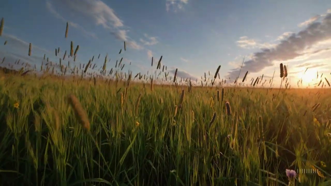 OpenAI Sora - Golden Morning Meadow