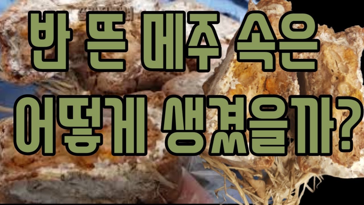 🇰🇷[전통메주띄우는과정 온돌띄우기] 전기장판에 메주 띄운지 1주일_ 그 동안 있었던 띄우기 경과를 보고합니다^^ #meju #moldy #mildew