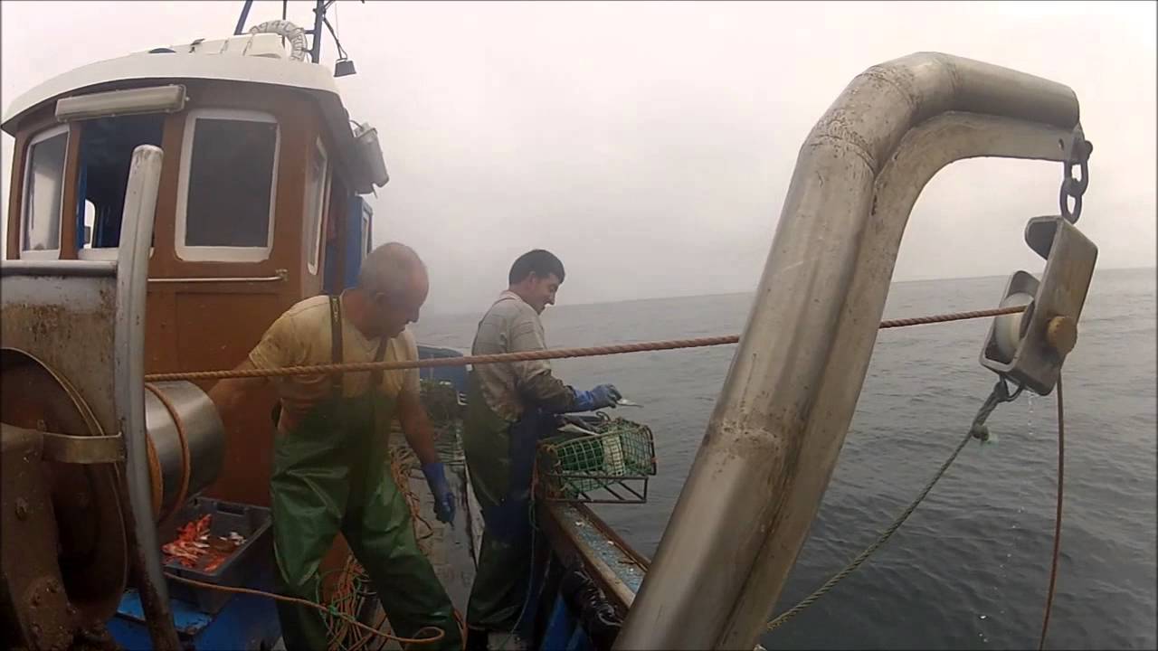 Um dia à pesca de polvo no Rochamar em Peniche