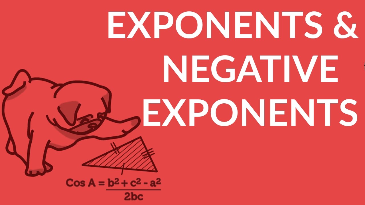 ʕ•ᴥ•ʔ How to Solve Exponents and Negative Exponents | StudyPug