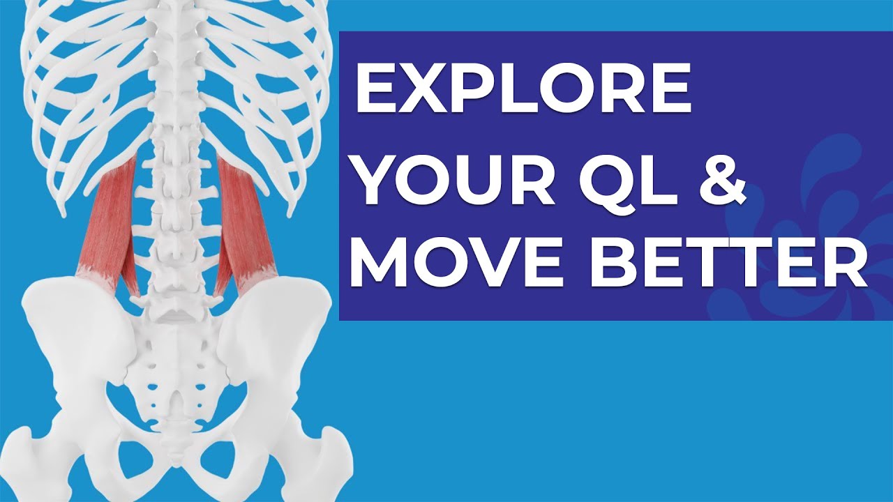 Explore your QL