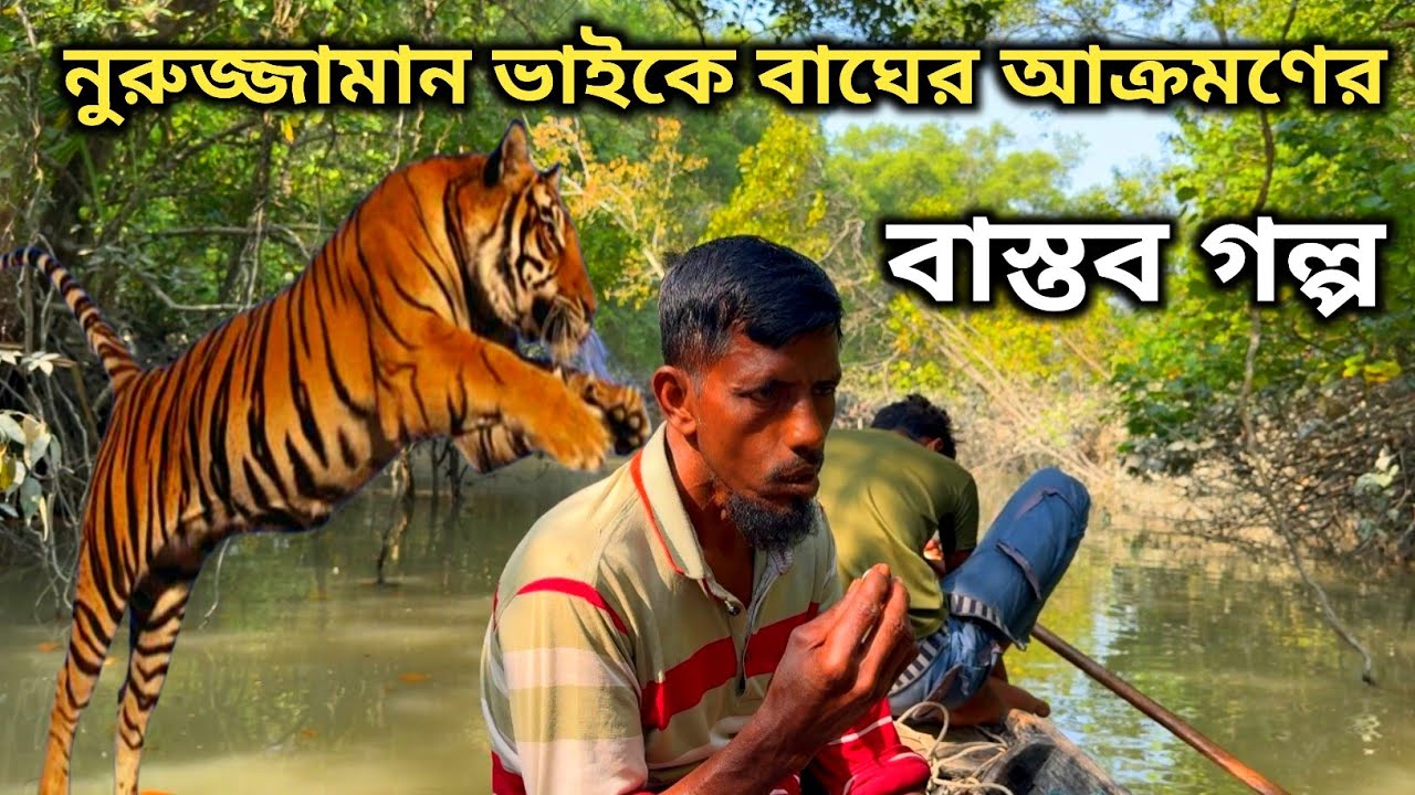 নুরুজ্জামান ভাইকে বাঘের আক্রমণের বাস্তব গল্প। সুন্দরবন