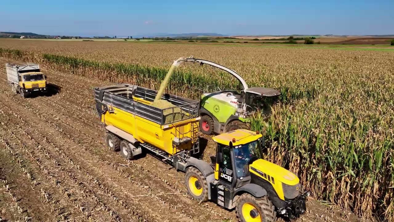 Rezačka Claas Jaguar 980 - &Scaron;irkovce 2023