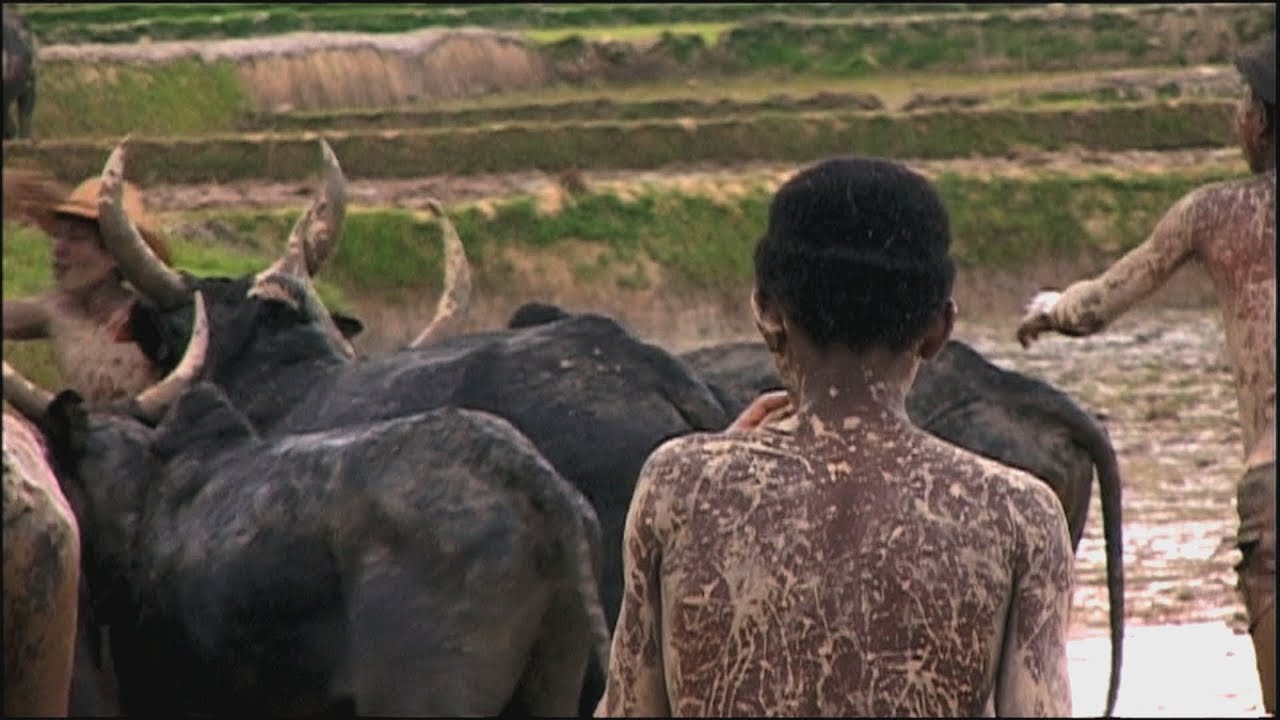MAHALEO, Raha Noana Ny Kibo - Message de Raoul dans le film Mahaleo