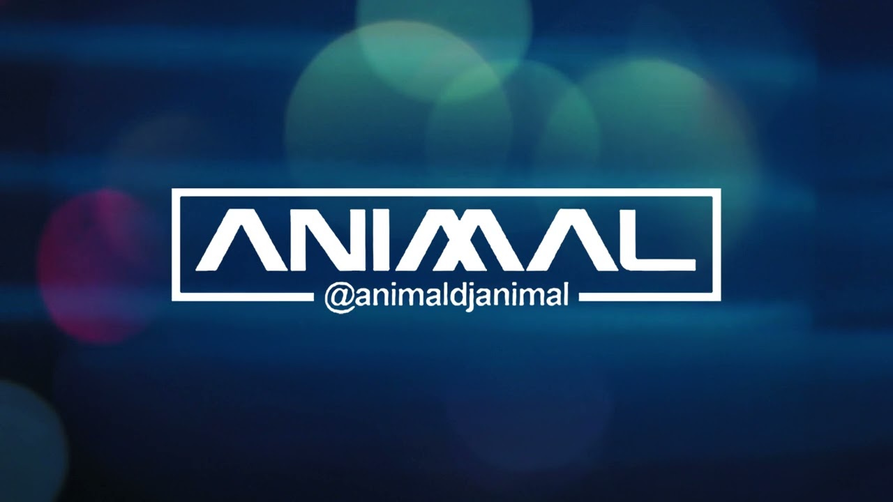 SOPETEO 11   DJ ANIMAL