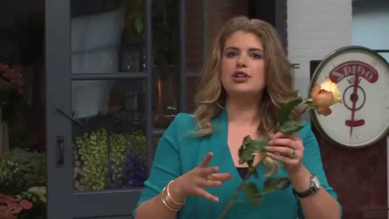 Hoe je bloemen lang goed houdt | Tip van Hollands Beste Bloemstylist