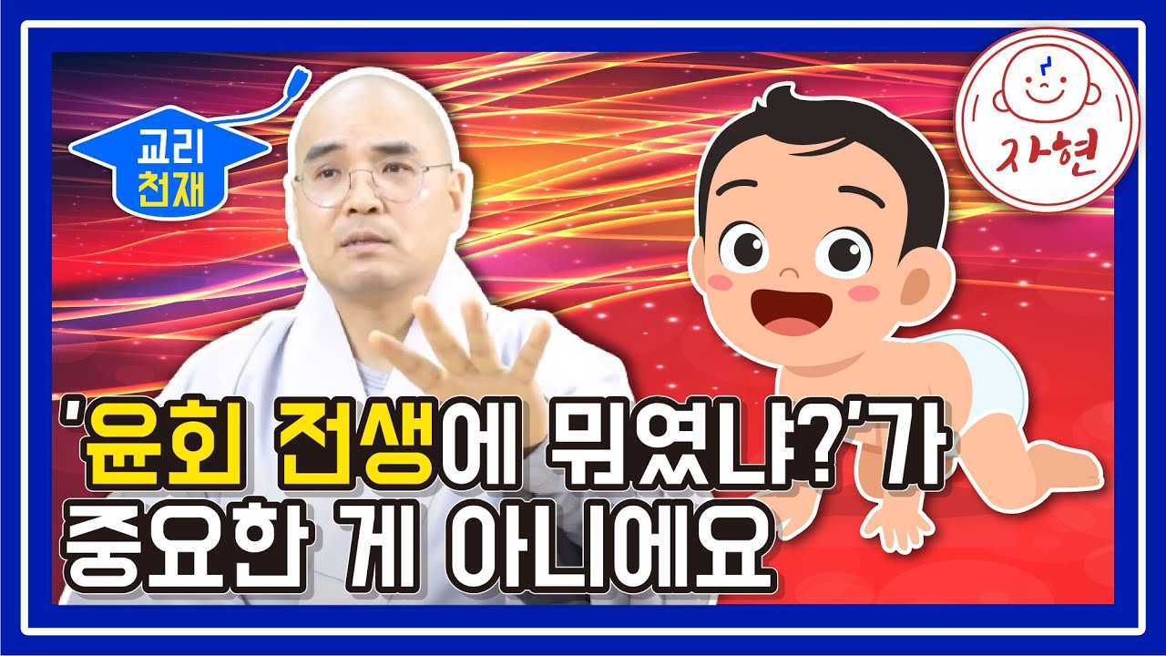 '윤회 전생에 뭐였냐?'가 중요한 게 아니에요 - 교리천재(합본)