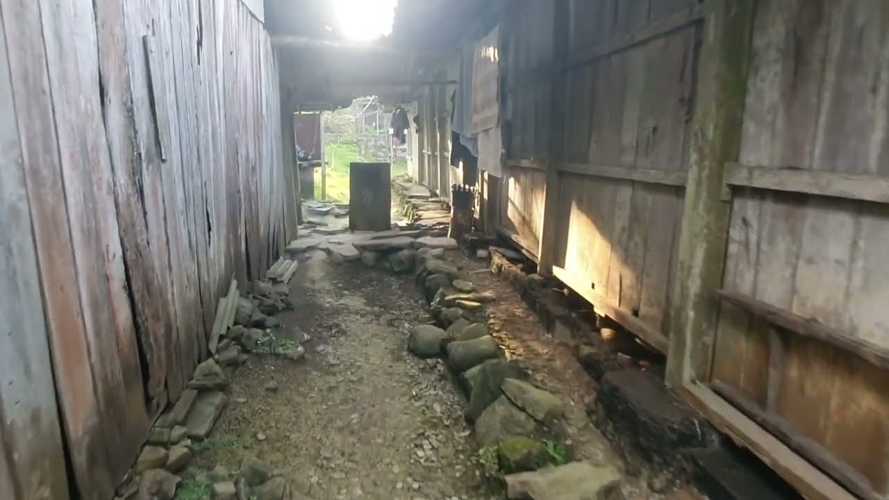 BELUM KAWIN  SEGERA TUTUP LAYAR..!!NGINTIP KEHIDUPAN SUKU JAWA DESA TERPENCIL JAWA TENGAH