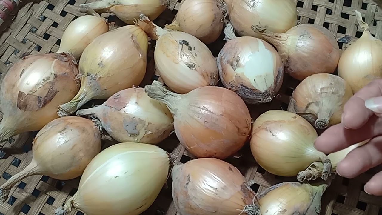 6 CÁCH ĂN HÀNH TÂY KHIẾN TẾ BÀO UNG THƯ 