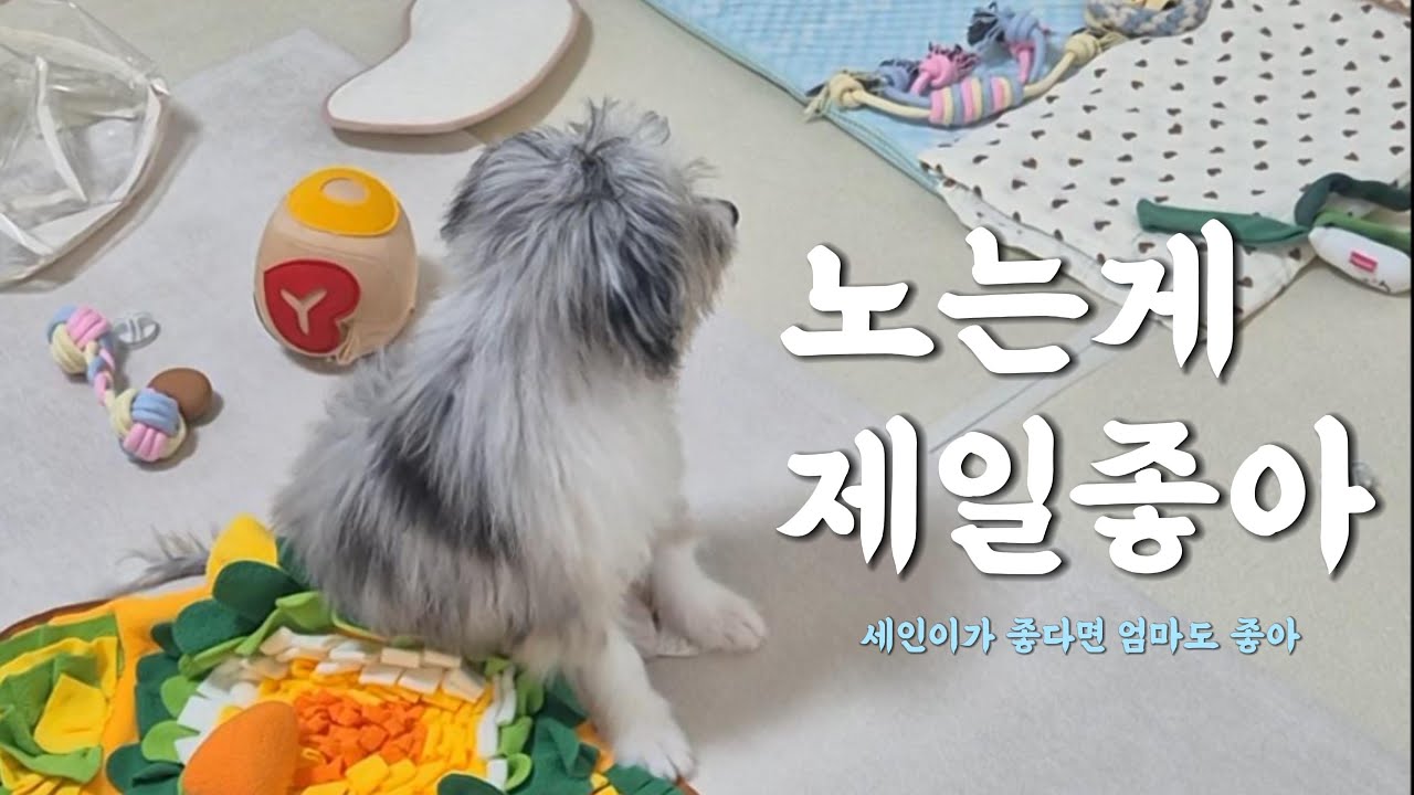 [오시두들 세인트] 세인이가 좋다면 엄마는 다 좋아